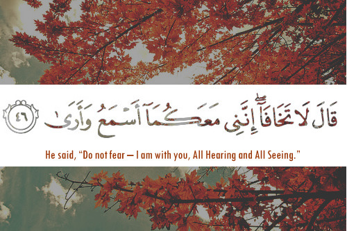 Do not fear (Quran 20:46 Surat Taha)
Originally found on: aceph