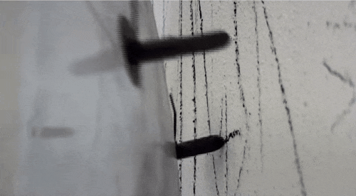 roachpatrol:fireandlifeincarnate:jesus-lizard-journal:thekidshouldseethis:A transparent