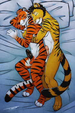 germanshep19:  Some tiger pics for you guys:3  WOOF