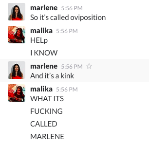 kali:marlene:kali:i hate my lifeI’m cryingfive years ago @marlene and i were screaming at our desks 