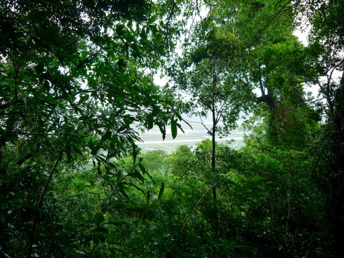omidunterwegs: into the jungle, ream nationalpark