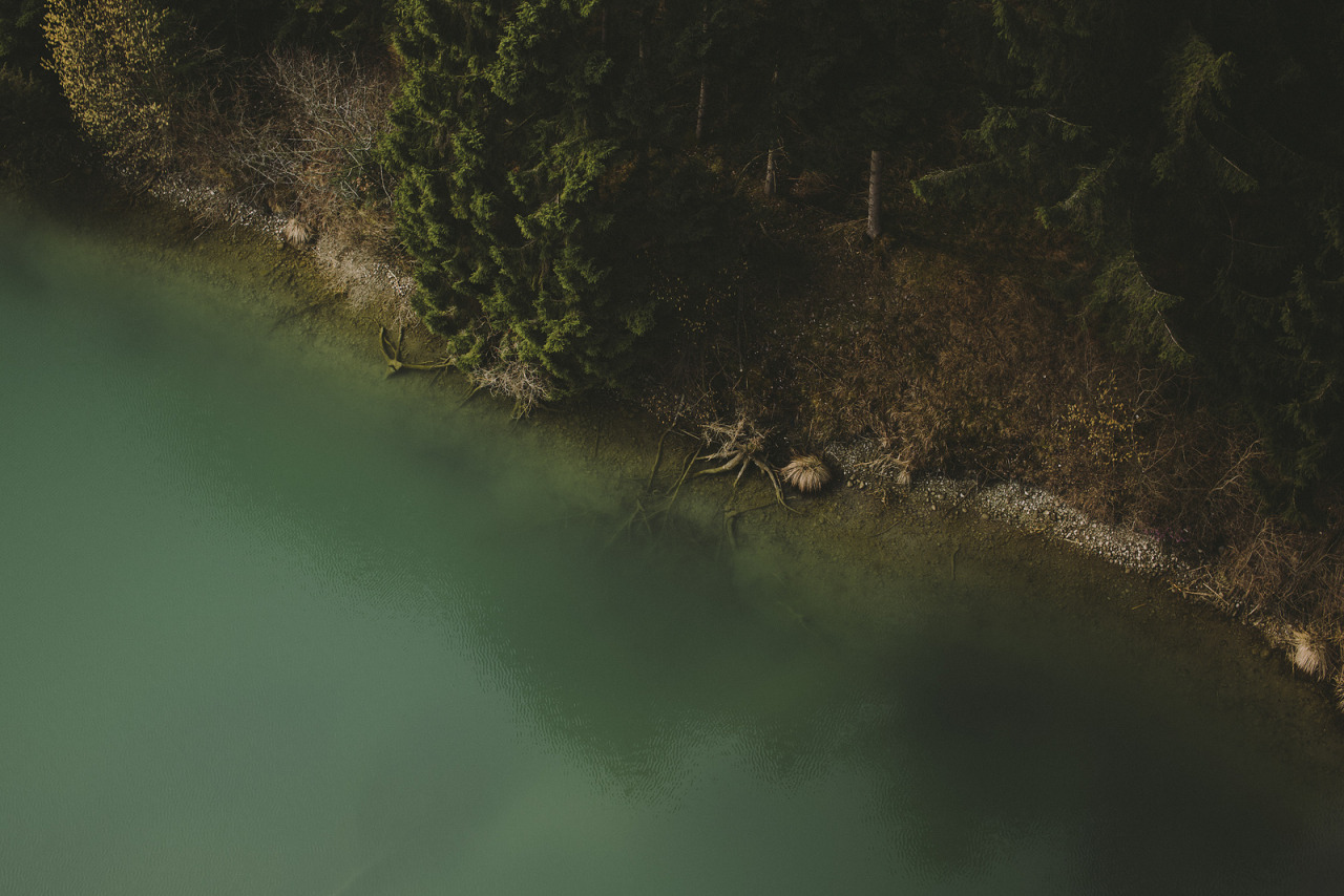 atraversso:  Sun, Trees and Love  by Daniel Fuchs 