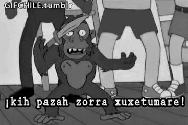 FUTUBANDERA ¡ES LA LUUUZ!