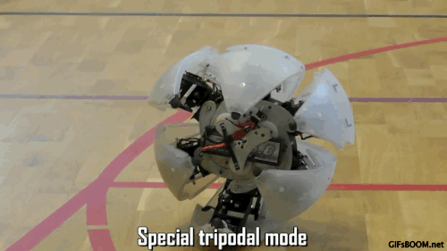 needsmorecoffee:  bogleech:mousathe14:  ninetynineno:  gifsboom:  Video: MorpHex MKI  Make a robot that knows how to resist being turned off, that’s a great idea.  It appears after decades of films and literature about how to not have robot overlords…