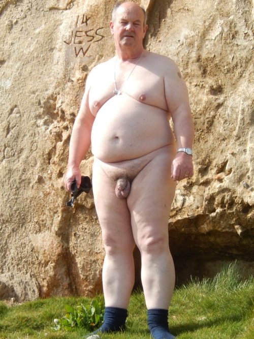 chubby bear