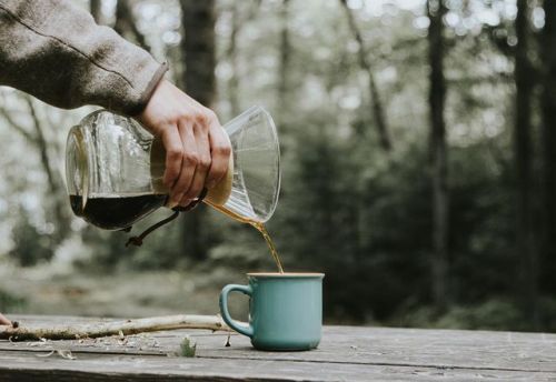 renmoldovan: camp essential.  instagram: @renmoldovanphoto