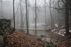 90377:  Metacomet Mist by KRGimages on Flickr. 