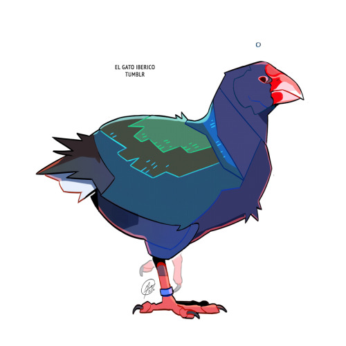 Decembird Day 6: FlightlessThe Takahē! They’re from New Zealand, and were once thought to be extinct