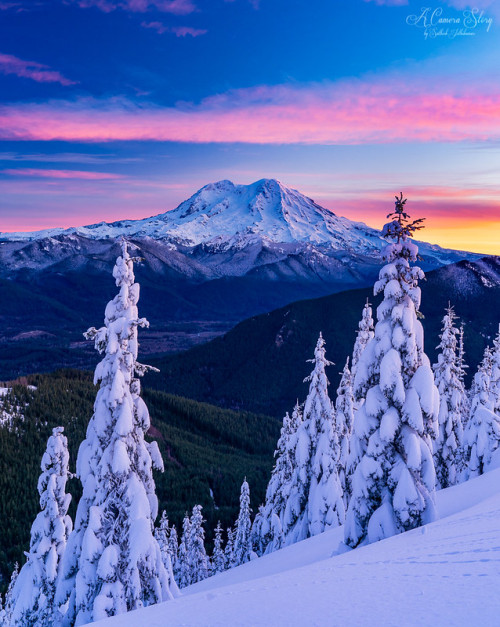 drxgonfly:Winter Sunrise (by Sathish J)Mt Rainier National Park , Washington, USA