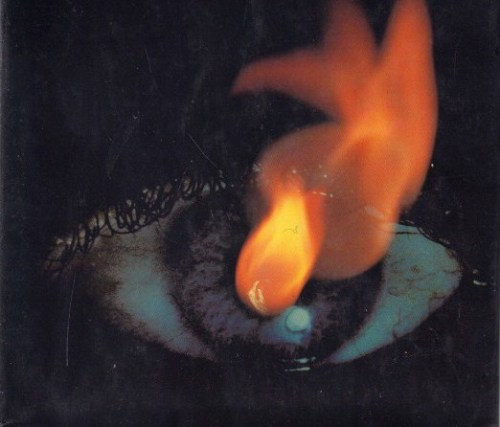 aloneandforsakenbyfateandbyman: 1980 cover art for Firestarter by Stephen King