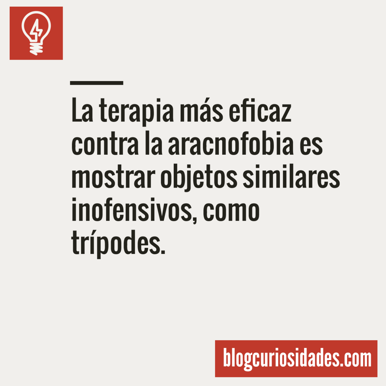 curiosidads:  Blog CuriosidadesFacebook || Twitter