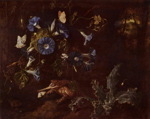 eumycota:  Otto Marseus van Schrieck   porn pictures