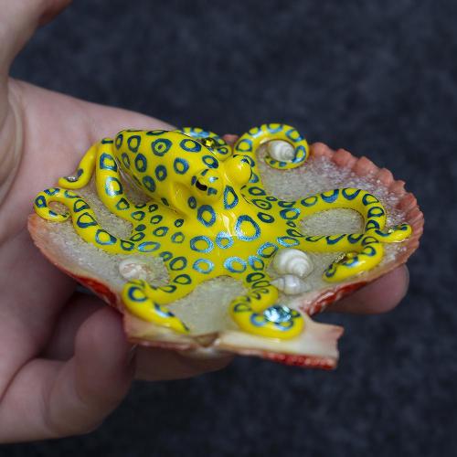 “A blue-ringed octopus I sculpted from polymer clay&quot;         Sour