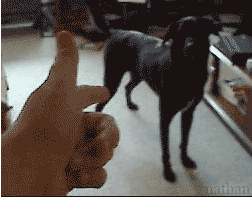 funny-gifs-videos:  For Funny OMG ! GIFS follow me !http://funny-gifs-videos.tumblr.com/
