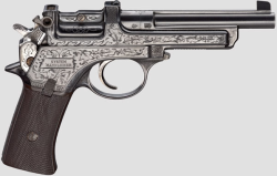 peashooter85:  Engraved Mannlicher Model