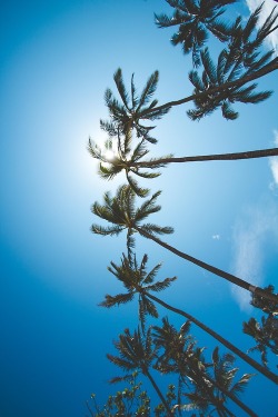 Sun of a Beach