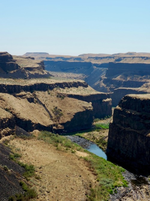 eopederson2: Palouse River Gorge, Franklin County, Washington, 2015. Taken on a very hot (40 degrees