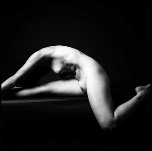 nevereverdull: nevereverdull:  Sarah.   Joseph Szymanski | More @ Patreon.com/jszymanski 