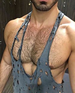 bromogymnerd:  💪 Chest Day