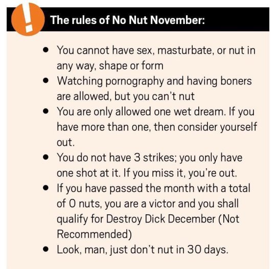 No Nut November Destroy December No Nut November Destroy December