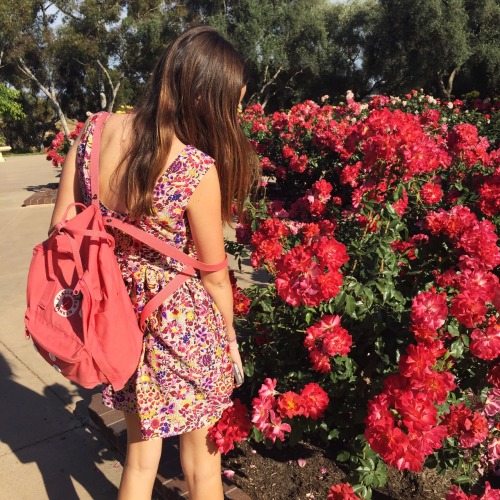 effervescentvibes:   good vibes here 