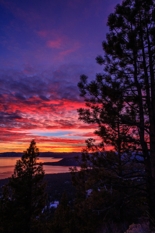 satakentia:  Reaching for colorsLake Tahoe, Sierra Nevada, California, USAby Old as you feel, Fujinite