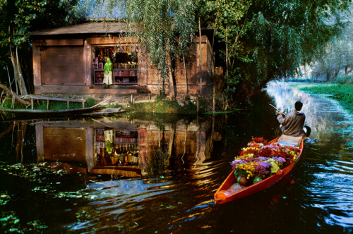 passivites:  Dal Lake, Kashmir