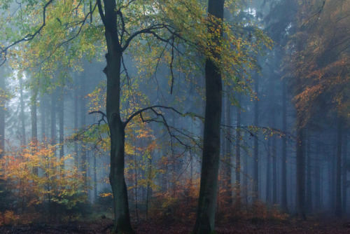 Blue Hour at ISO 12800 &hellip; by h g