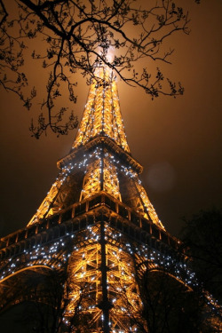 phantastrophe:Paris, France | Photographer: Danny VB