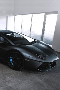 vistale:  Matte Grey Aventador | via