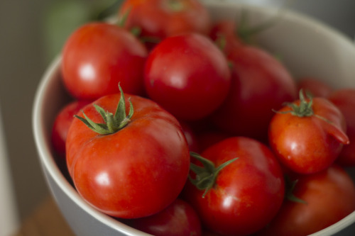 lenorestreetgarden: Our last tomato and pepper harvest.  It’s been a good summer. Jealous!  This is 