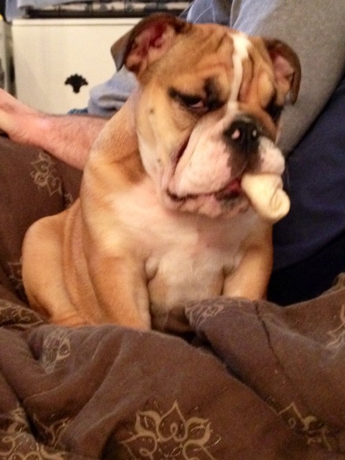 Literally biting off more than she can chew&hellip;and then nodding off while sitting up