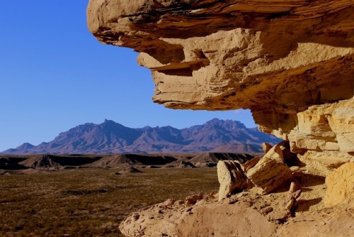 fourcornersguy: The View from Tornillo FlatBig Bend National Park, Texas Looking out from a rock for