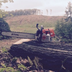 Love Stihl chainsaws and power equipment