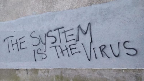 “The system is the virus” Seen in Wicklow, Ireland