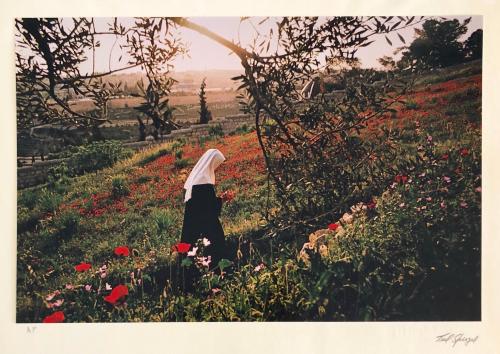 kafkasapartment: Nun, Mount Olives, 1973. Ted Spiegel. Chromogenic print.