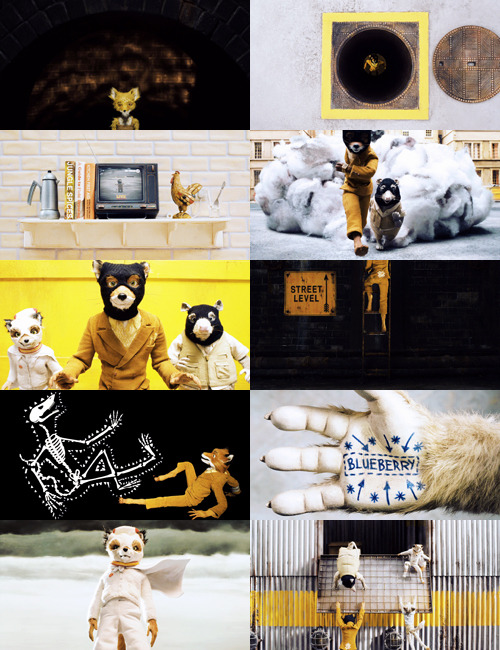 devendrabanharts:  Wild animals, with true natures and pure talents. Wild animals with scientific-sounding latin names that mean something about our DNA. Wild animals each with his own strengths and weaknesses due to his or her species. 