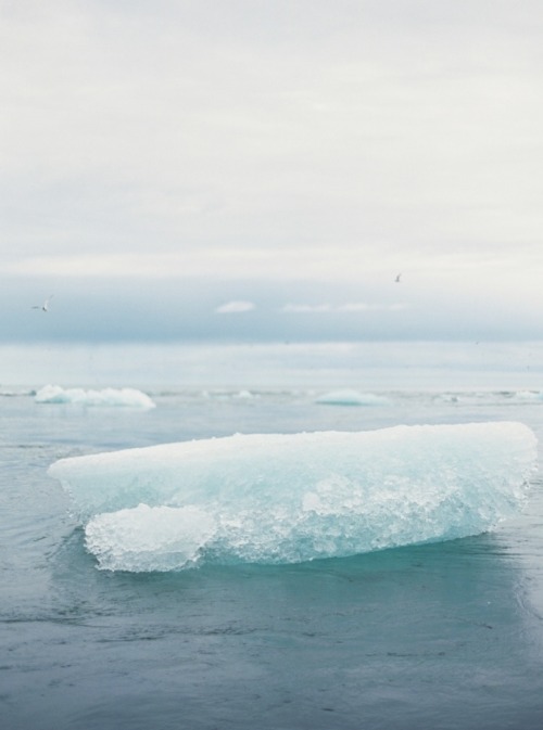 iceland by kate ignatowski