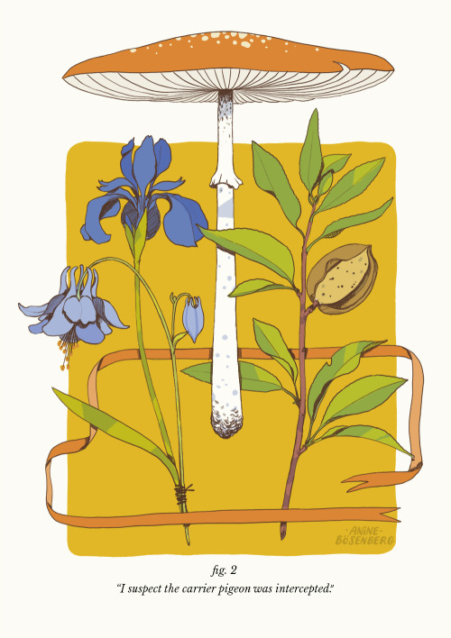 New colours, but old lines - two posies from a zine about the language of flowers that I’m rew