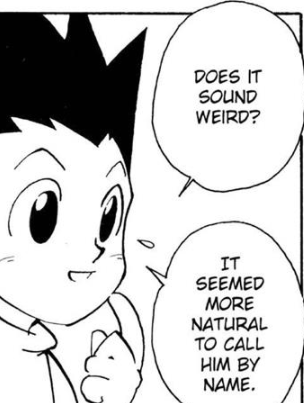 Hunter x Hunter Thoughts — We know Ging had Gon for two years