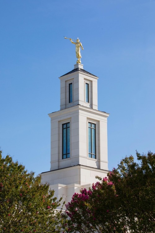 Raleigh North Carolina Temple | Details