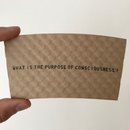 Coffee sleeve design  for Grind Coffee Jersey City What is the purpose of consciousness?