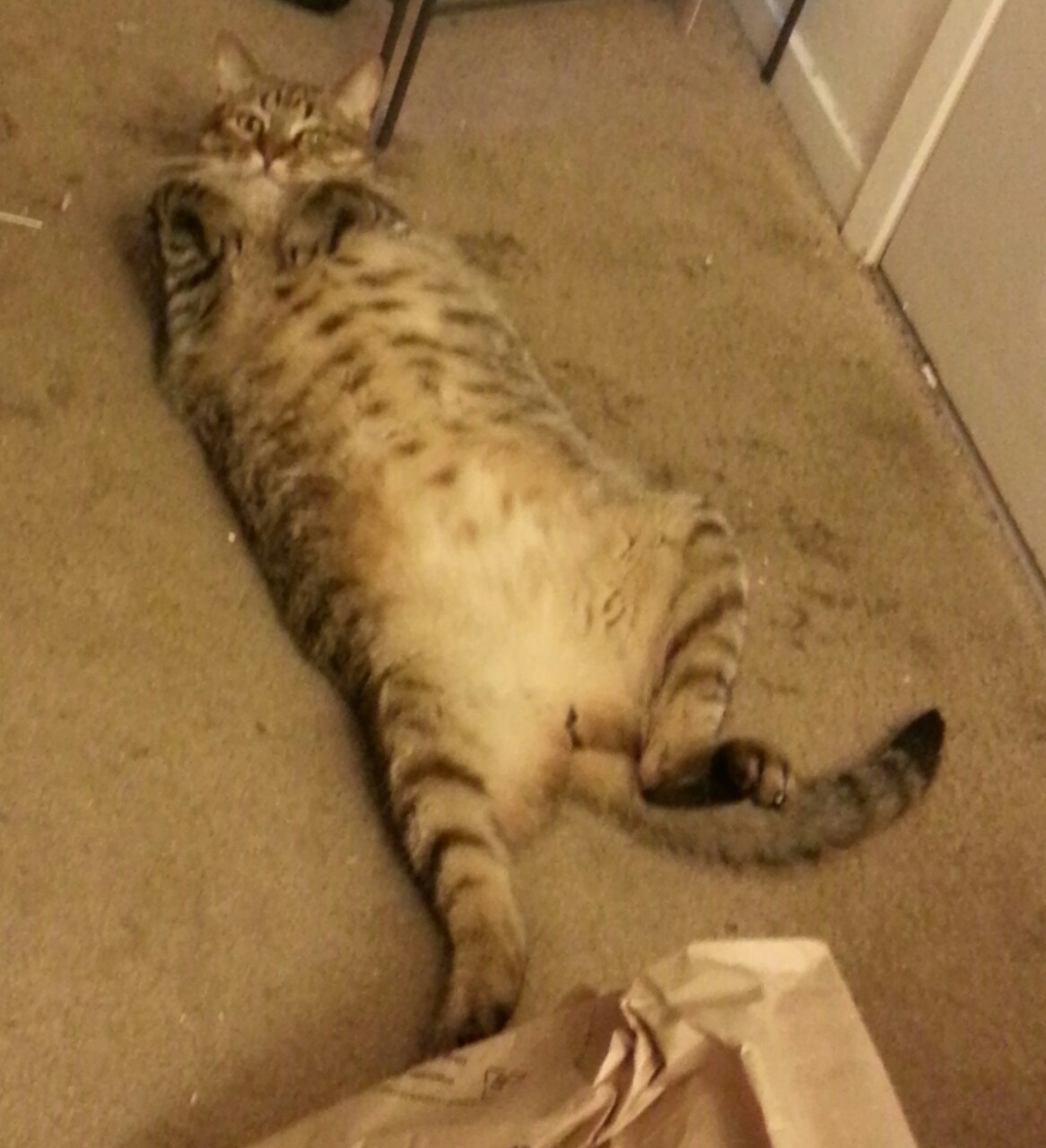 &ldquo;Draw me like one of your ponies.&rdquo; 