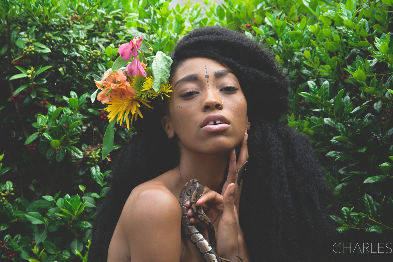 lasergunsandcongodrums:  Garden of Eden Photography by Spencer Charles 