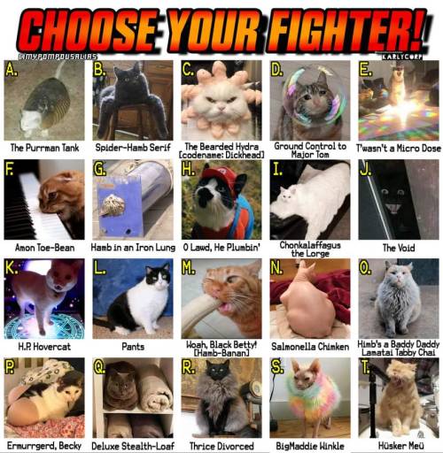 choose your fighter