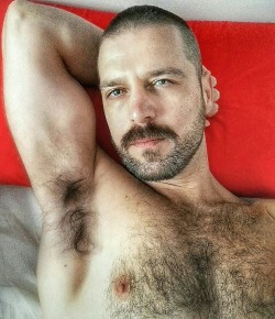 sweatyhairylickable:  http://sweatyhairylickable.tumblr.com for more hairy sweaty dudes!   