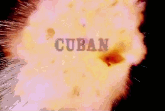 thegirlwhostoletheworld-deactiv:  Cuban Fury porn pictures