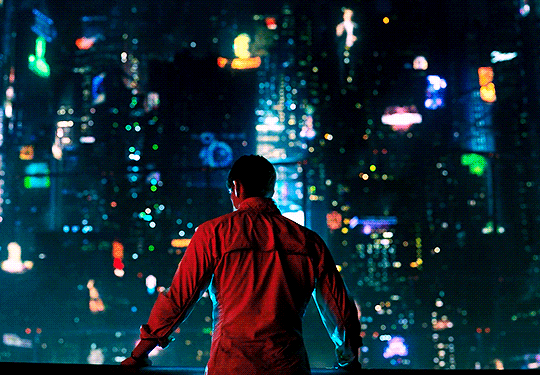 tumblr_p3v4flcioH1rkjw6xo4_540.gif