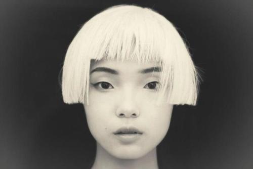 erowid:Xiao Wen Ju by Alistair Taylor-Young