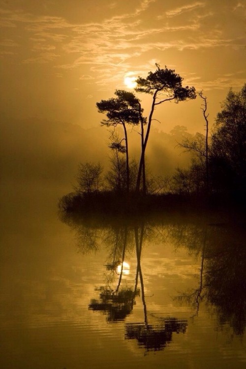 passera’ davanti ai tuoi occhi l’immagine di noi … riflessa in uno specchio di cielo …. ci vedrai la luna!!thewolf…